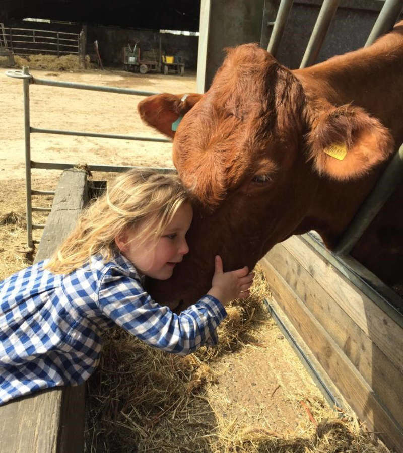 David Lemon Countryside Stewardship